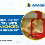 Himajal Water Softeners – Protecting Poultry Health Through Advanced Water Treatment for Poultry Farms in Telangana